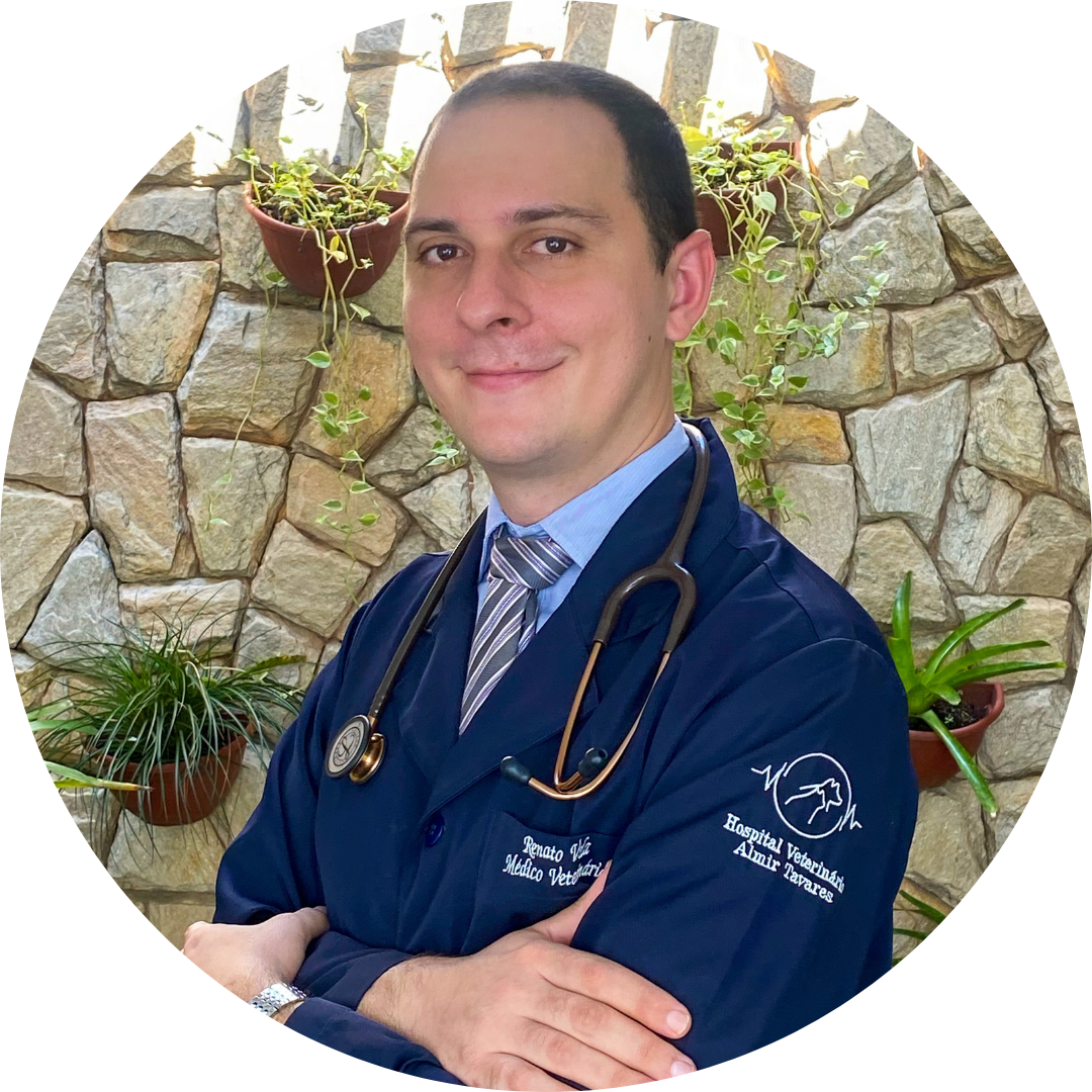 Dr. Renato Vela / Médico Veterinário