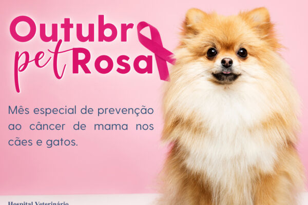 A campanha mais importante do ano começou. Vem entender mais sobre o Outubro Pet Rosa, um mês todo dedicado aos cães e gatos.